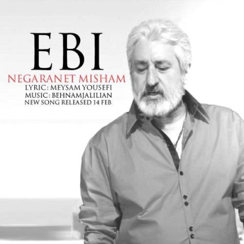 Ebi Negaranet Misham