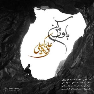 دانلود آهنگ علی زند وکیلی باورم کن علی زند وکیلی باورم کن