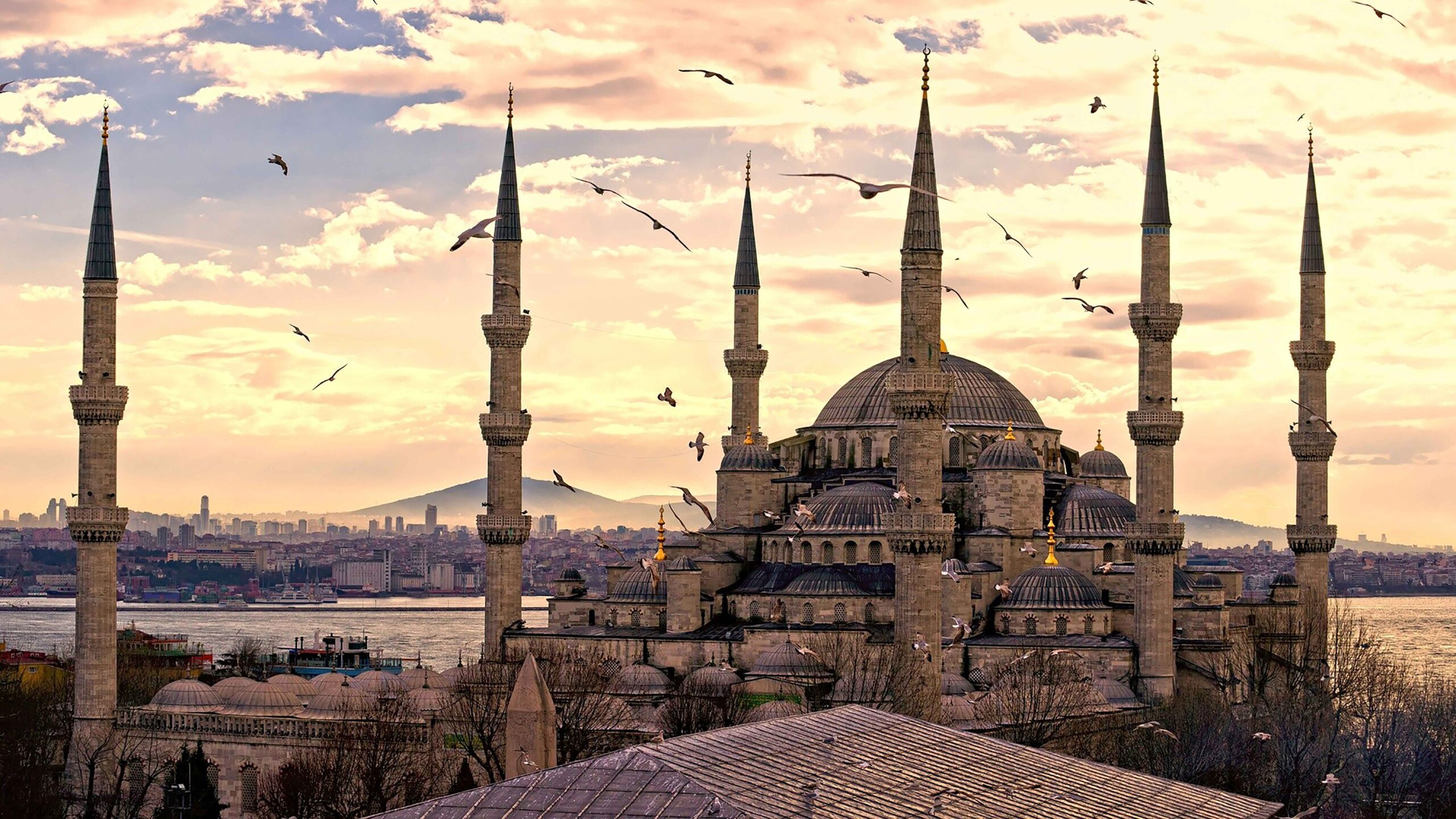 دانلود گلچین آهنگ های سیبل جان 1 wallpaper 19 scaled 1