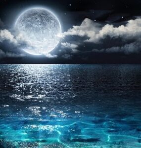 دانلود آهنگ امشب شب مهتابه امشب شب مهتابه
