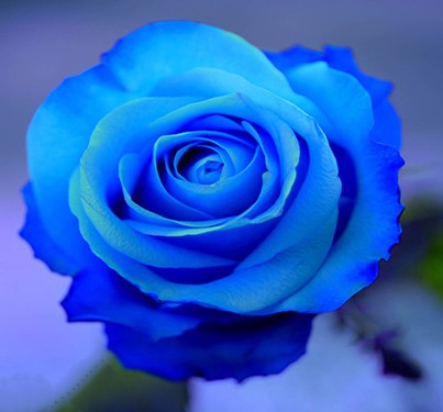دانلود آهنگ زمونه 1 الهه زمونه