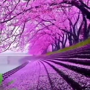 دانلود آهنگ نغمه های جوانی سیمین غانم نغمه های جوانی