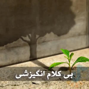 دانلود آهنگ های بی کلام انگیزشی آهنگ های بی کلام انگیزشی