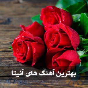 دانلود بهترین آهنگ های آنیتا بهترین آهنگ های آنیتا