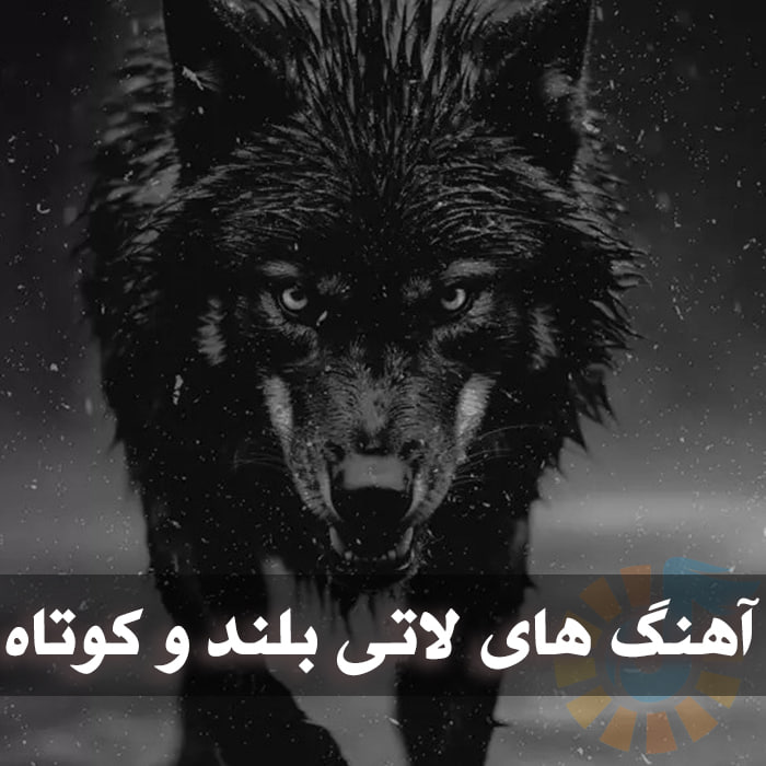 دانلود آهنگ های لاتی بلند و کوتاه 1 photo 2025 03 17 05 01 09