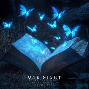 دانلود ریمیکس آهنگ وان نایت One Night ریمیکس آهنگ وان نایت One Night