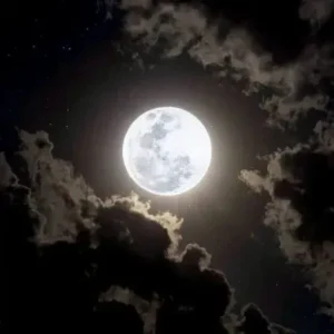 دانلود آهنگ دیگه نوری نی تو این شبام آهنگ دیگه نوری نی تو این شبام