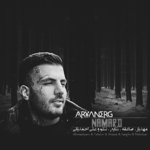 دانلود ریمیکس دیجی آرین نامرد ریمیکس دیجی آرین نامرد