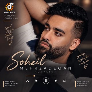 Soheil Mehrzadega 1