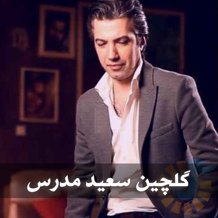 دانلود بهترین آهنگ های سعید مدرس 1 دانلود بهترین آهنگ های سعید مدرس