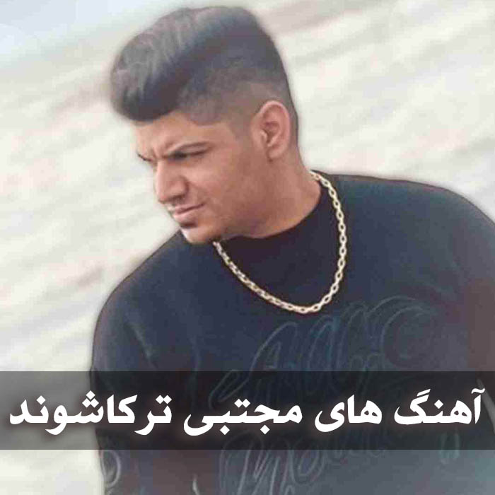 دانلود آهنگ های مجتبی ترکاشوند