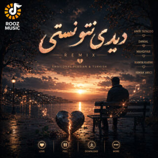 دانلود ریمیکس دیدی نتونستی ریمیکس دیدی نتونستی