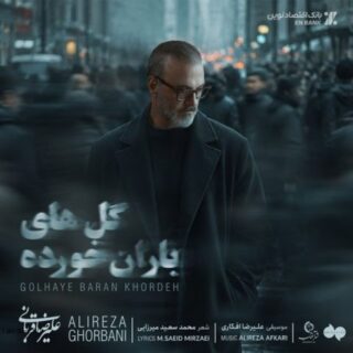 Alireza Ghorbani Golhaye Barankhordeh