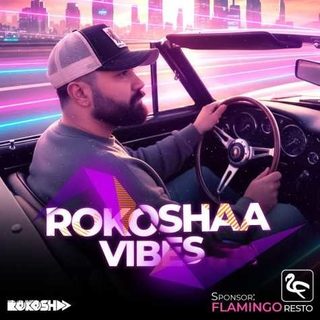 DJ Rokoshaa RokoshaA Vibes