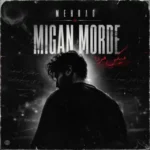 Mehrab Migan Morde