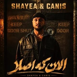 Shayea Canis 375x375 1