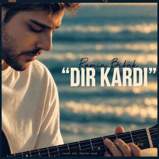 Ramin Bibak