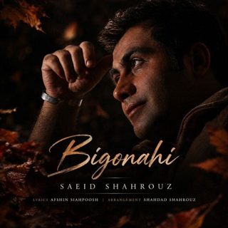 Saeid Shahrouz – Bi Gonahi