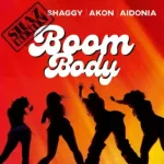Shaggy Form – Boom Body feat. Akon Aidonia Shaz Remix
