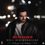 Sina Derakhshande – Delam Tangete